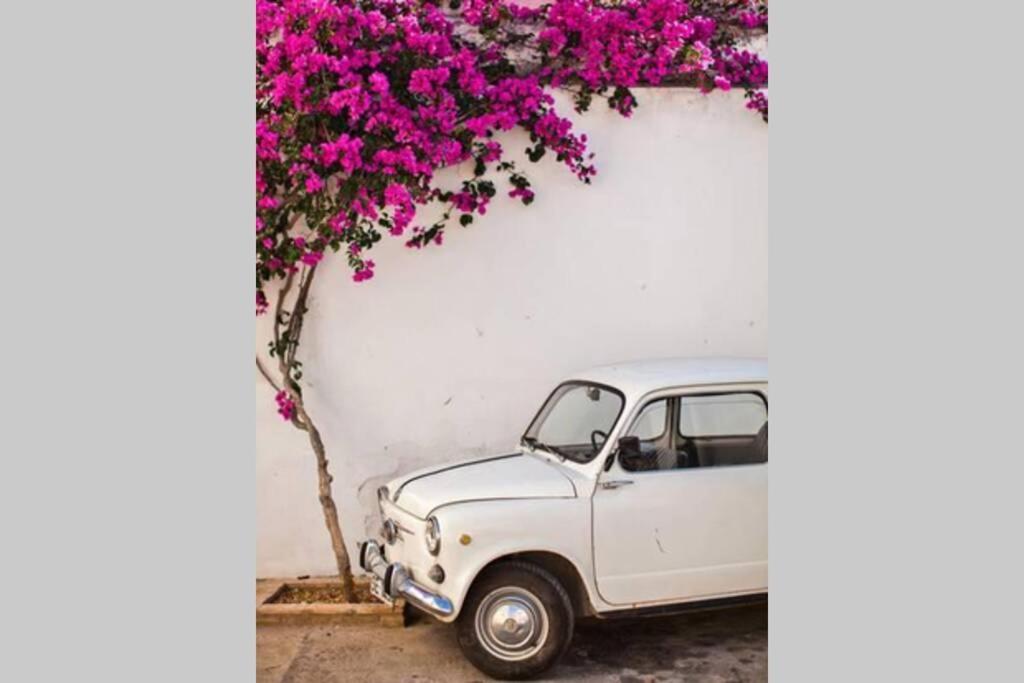 Mojacar Pueblo - Traditional Village House - The Old Jewish Quarter Bagian luar foto